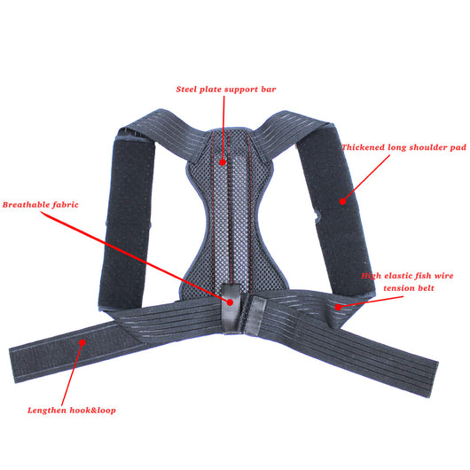 Posture Support Brace